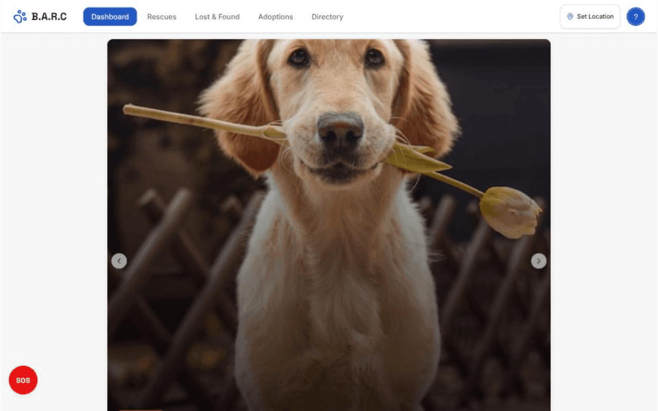 BARC Rescue Hub